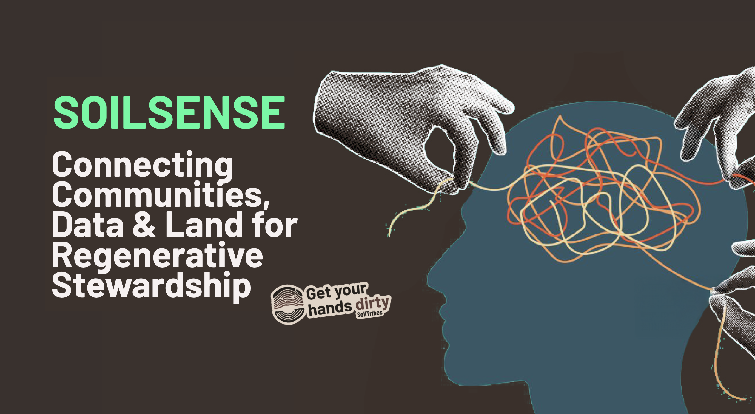 Media picture: 🌌🍄 SOILSENSE Constellation (Mycelium)