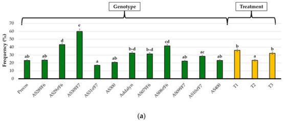 Tomato root colonization analysis