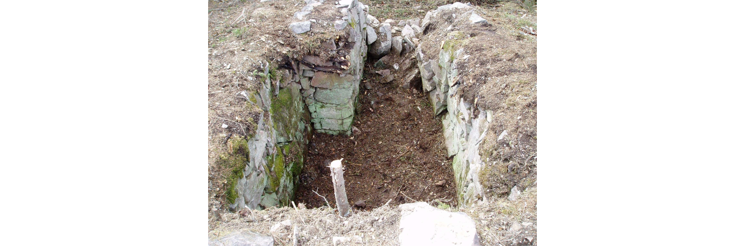 Media picture: 🔬📚 REUSES📚 🔬