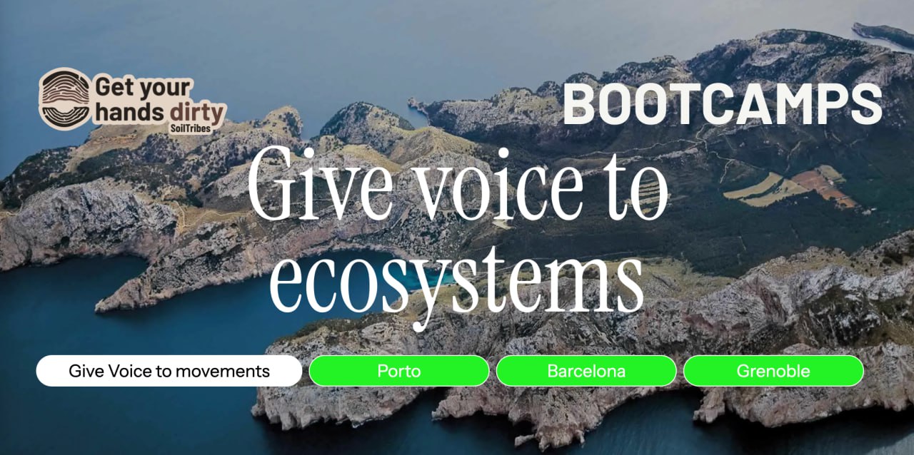 Media picture: 🌱 A Bootcamp Series for Soil and Democracy 🏕️🗳️🌍